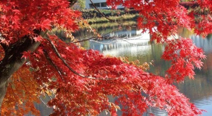 Hotel Harvest Tateshina Chino Dış mekan fotoğraf