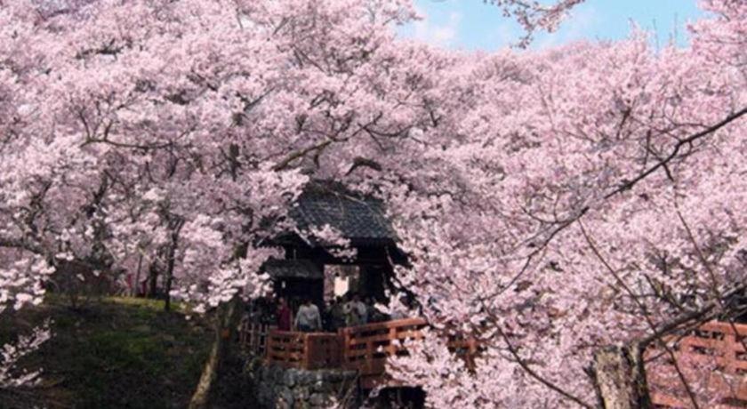 Hotel Harvest Tateshina Chino Dış mekan fotoğraf