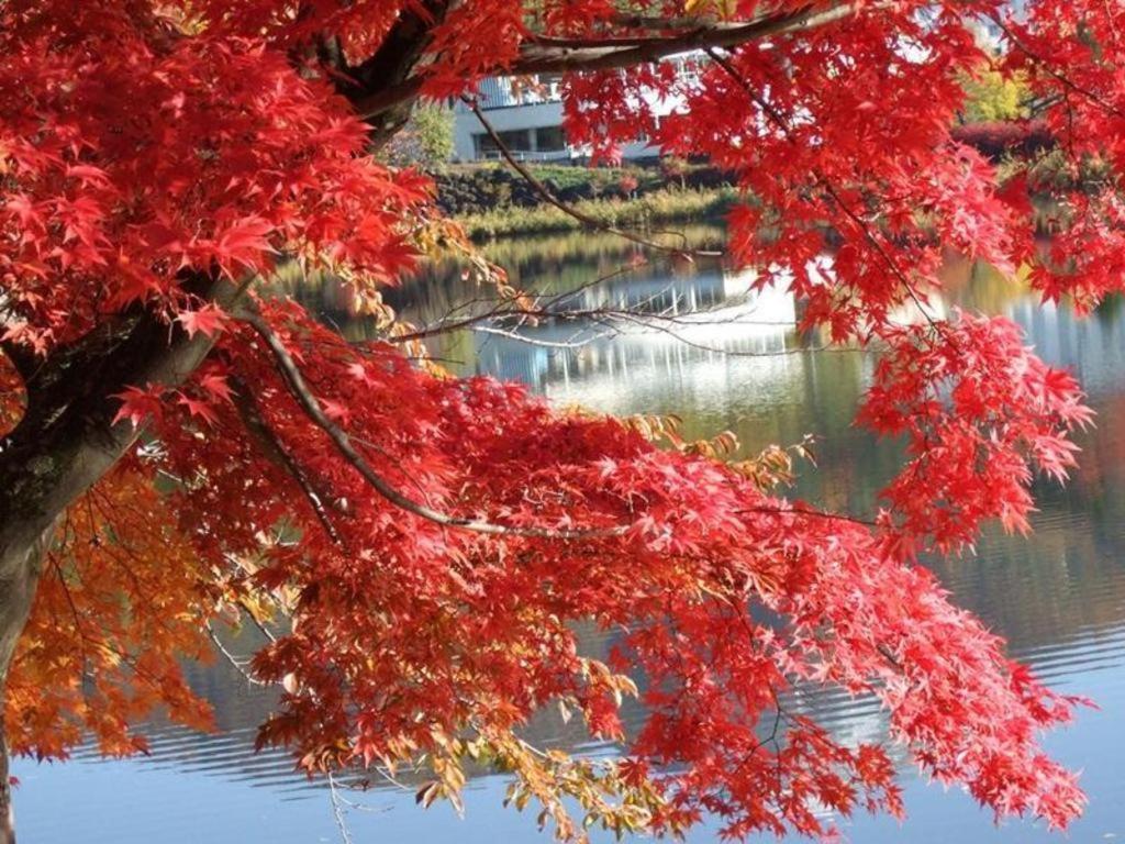 Hotel Harvest Tateshina Chino Dış mekan fotoğraf